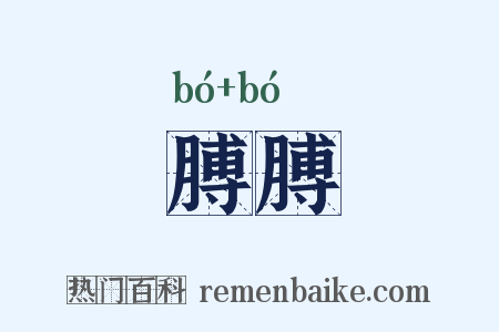 膊膊是什么意思的图片